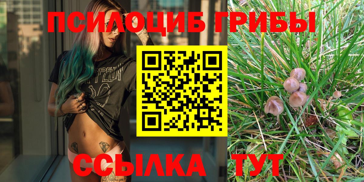 Псилоцибиновые грибы GOLDEN TEACHER  Вход с VPN  Дальнереченск 